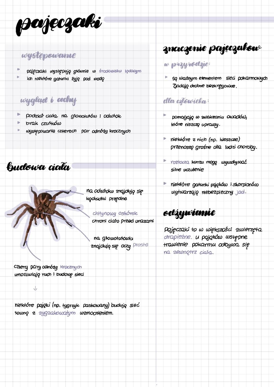 Cechy pajęczaków, Owady i Skorupiaki - Notatka Klasa 6