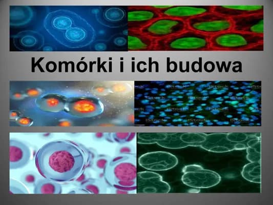 Know budowa komórki thumbnail