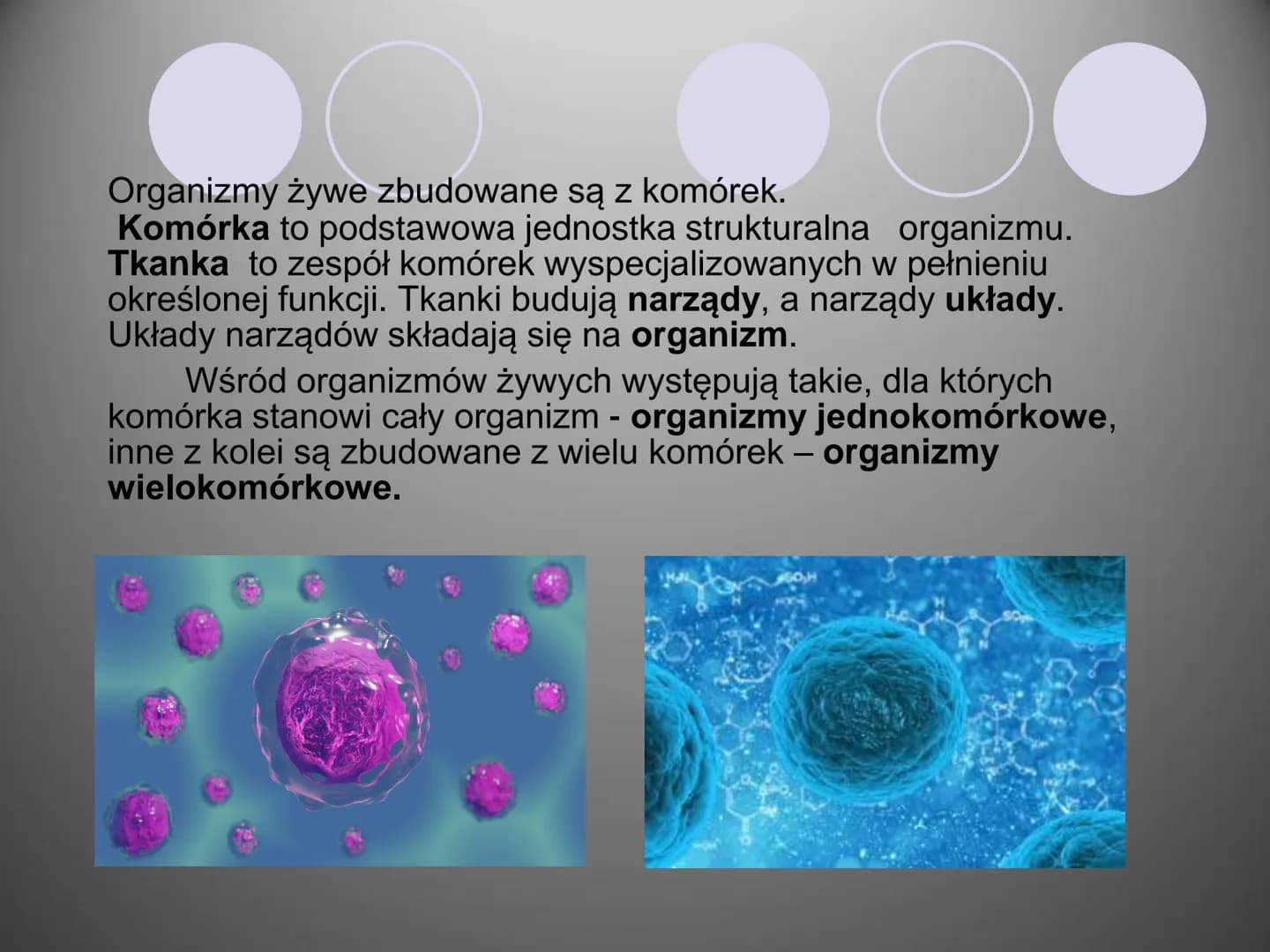 Komórki i ich budowa
oc
ock
Stock
iStock
iStocle
iStock
Stooke
iStock
Stock
Stock
Sto Organizmy żywe zbudowane są z komórek.
Komórka to pods