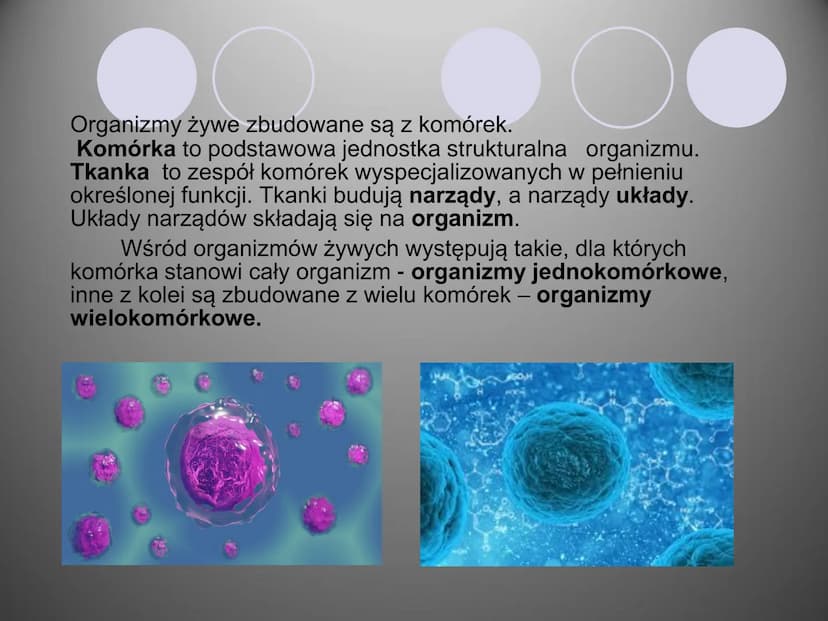 Komórki i ich budowa
oc
ock
Stock
iStock
iStocle
iStock
Stooke
iStock
Stock
Stock
Sto Organizmy żywe zbudowane są z komórek.
Komórka to pods