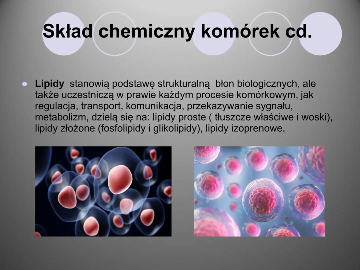 Komórki i ich budowa
oc
ock
Stock
iStock
iStocle
iStock
Stooke
iStock
Stock
Stock
Sto Organizmy żywe zbudowane są z komórek.
Komórka to pods