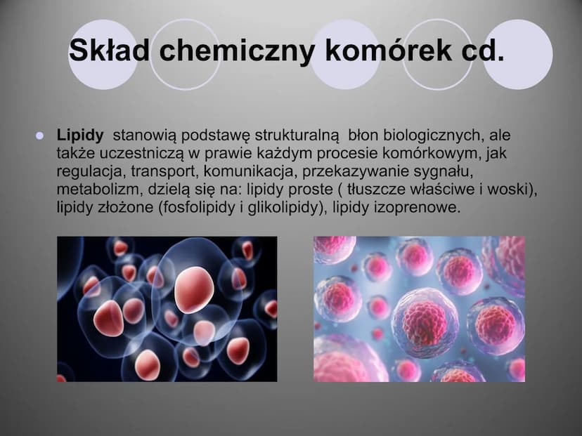 Komórki i ich budowa
oc
ock
Stock
iStock
iStocle
iStock
Stooke
iStock
Stock
Stock
Sto Organizmy żywe zbudowane są z komórek.
Komórka to pods