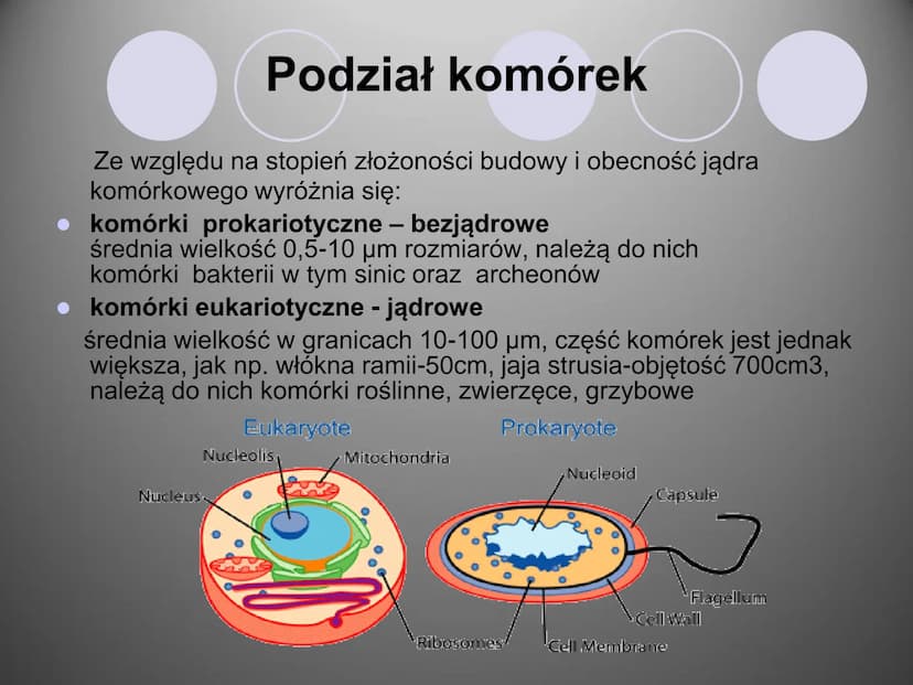 Komórki i ich budowa
oc
ock
Stock
iStock
iStocle
iStock
Stooke
iStock
Stock
Stock
Sto Organizmy żywe zbudowane są z komórek.
Komórka to pods