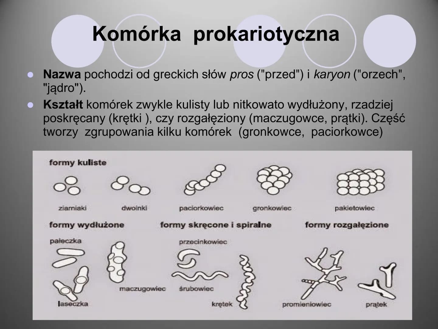 Komórki i ich budowa
oc
ock
Stock
iStock
iStocle
iStock
Stooke
iStock
Stock
Stock
Sto Organizmy żywe zbudowane są z komórek.
Komórka to pods