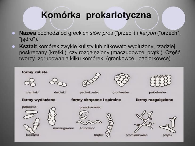 Komórki i ich budowa
oc
ock
Stock
iStock
iStocle
iStock
Stooke
iStock
Stock
Stock
Sto Organizmy żywe zbudowane są z komórek.
Komórka to pods