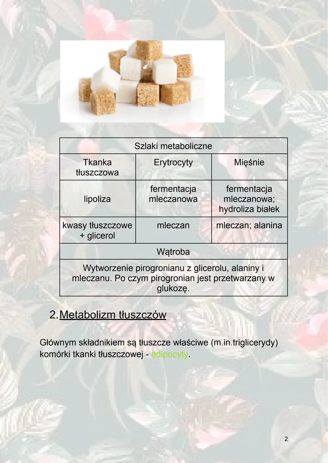 Inne procesy metaboliczne
1. Metabolizm sacharydów
Glukoneogeneza - syntetyzowanie (wytwarzanie) glukozy z
innych związków niż sacharydy. (z