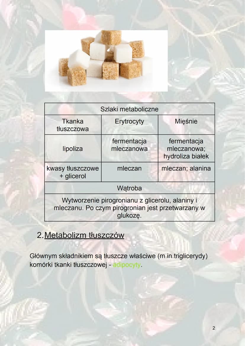 Inne procesy metaboliczne
1. Metabolizm sacharydów
Glukoneogeneza - syntetyzowanie (wytwarzanie) glukozy z
innych związków niż sacharydy. (z
