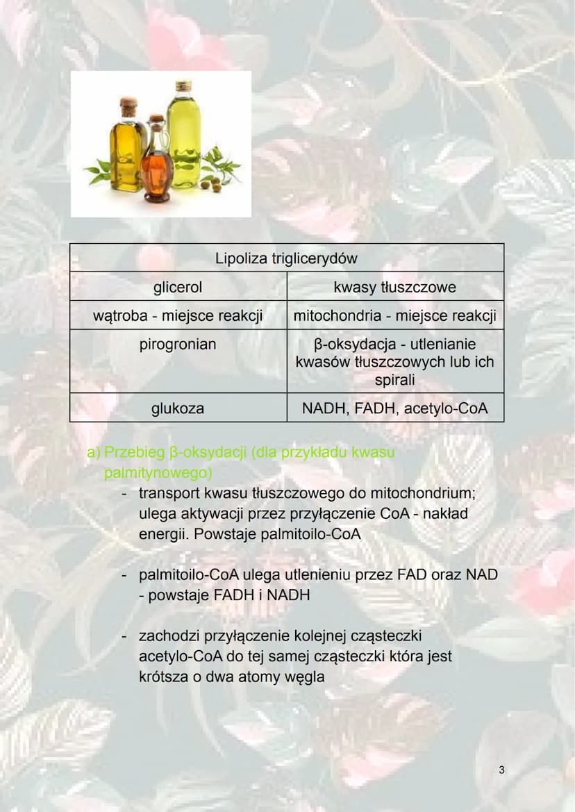 Inne procesy metaboliczne
1. Metabolizm sacharydów
Glukoneogeneza - syntetyzowanie (wytwarzanie) glukozy z
innych związków niż sacharydy. (z