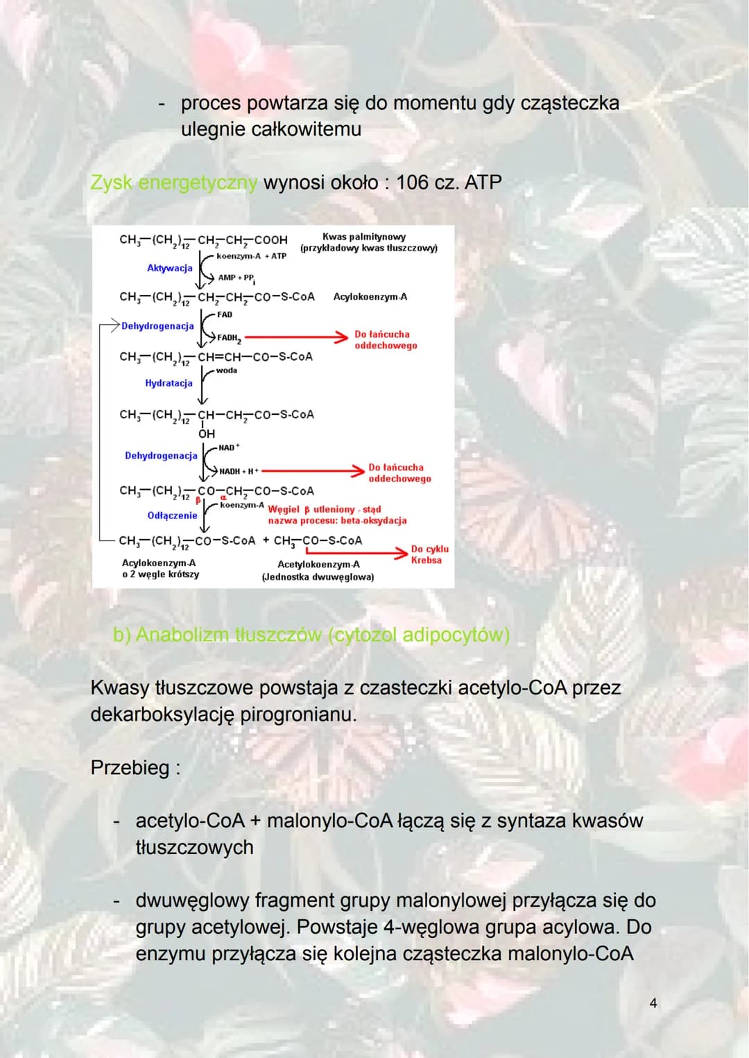 Inne procesy metaboliczne
1. Metabolizm sacharydów
Glukoneogeneza - syntetyzowanie (wytwarzanie) glukozy z
innych związków niż sacharydy. (z
