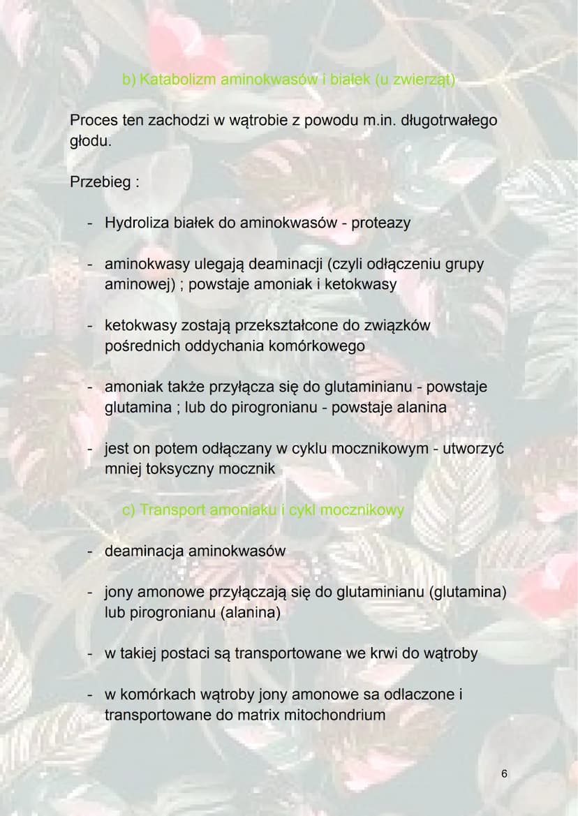 Inne procesy metaboliczne
1. Metabolizm sacharydów
Glukoneogeneza - syntetyzowanie (wytwarzanie) glukozy z
innych związków niż sacharydy. (z