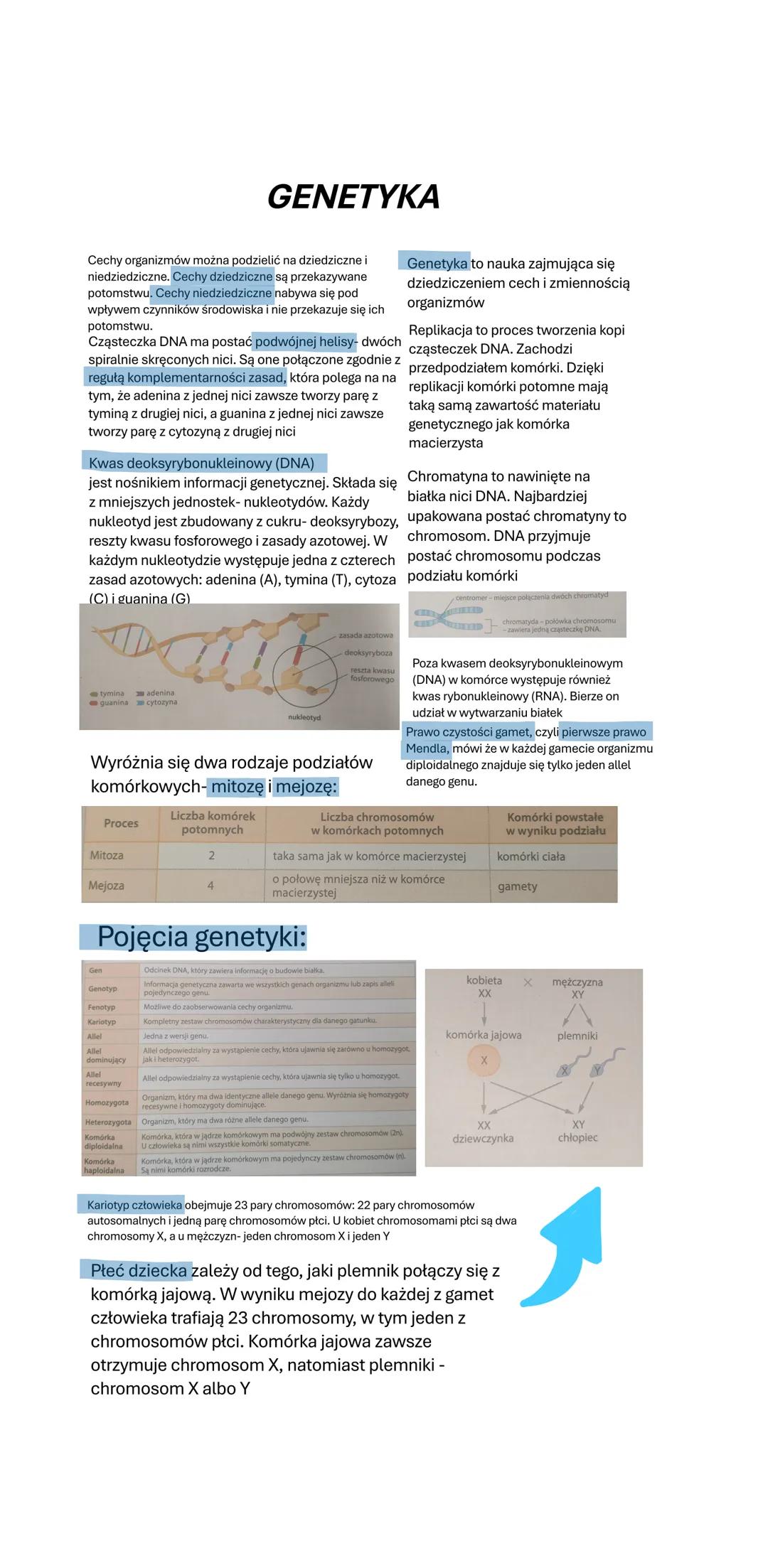 GENETYKA
Cechy organizmów można podzielić na dziedziczne i
niedziedziczne. Cechy dziedziczne są przekazywane
potomstwu. Cechy niedziedziczne