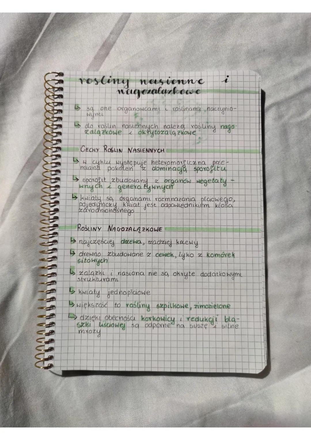 Rośliny nagozalążkowe: Kompletny przewodnik z przykładami