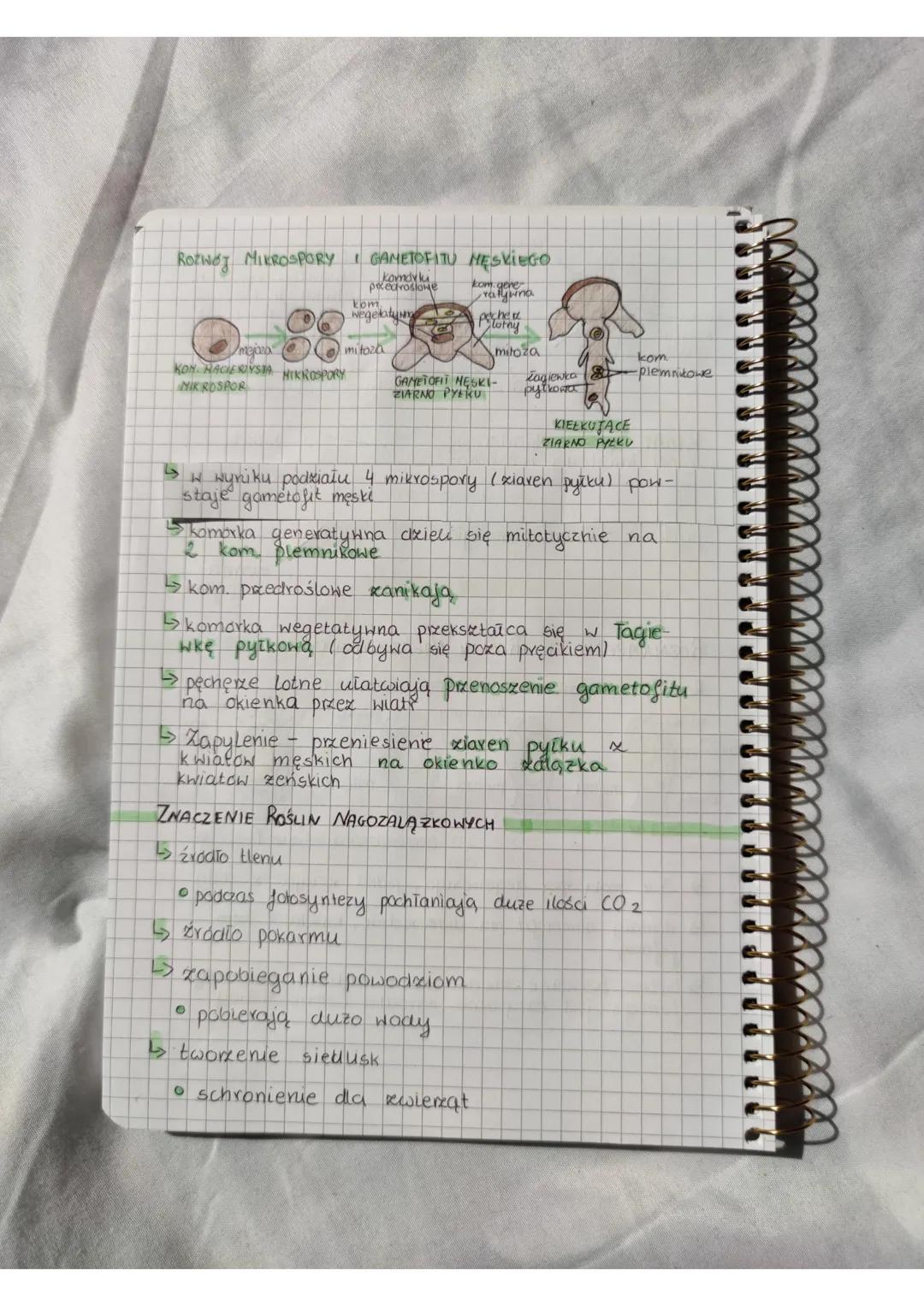 00000
rosliny nasienne
nagozalazkowe
LS
sa one organowcami
wymi
i roślinami naczynio-
do roślin nasiennych naleza, rośliny nago-
zalązkowe i