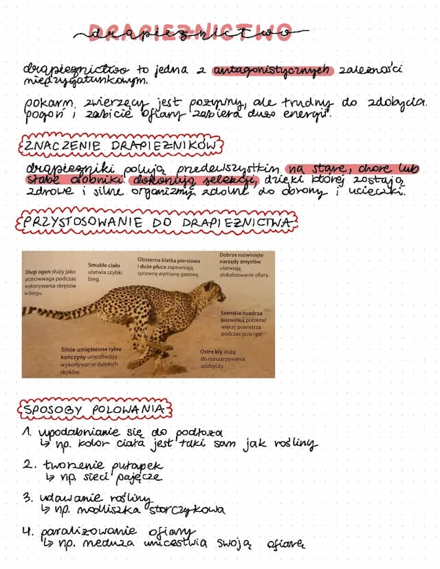 Know drapieżnictwo  thumbnail