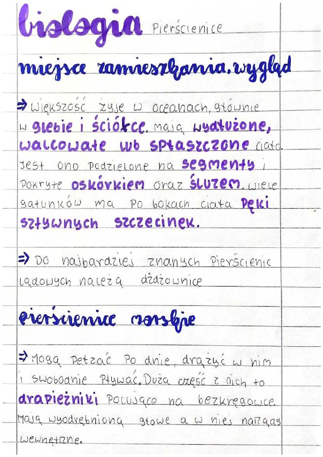 Pierścienice - Notatka z Biologii dla Klasy 6