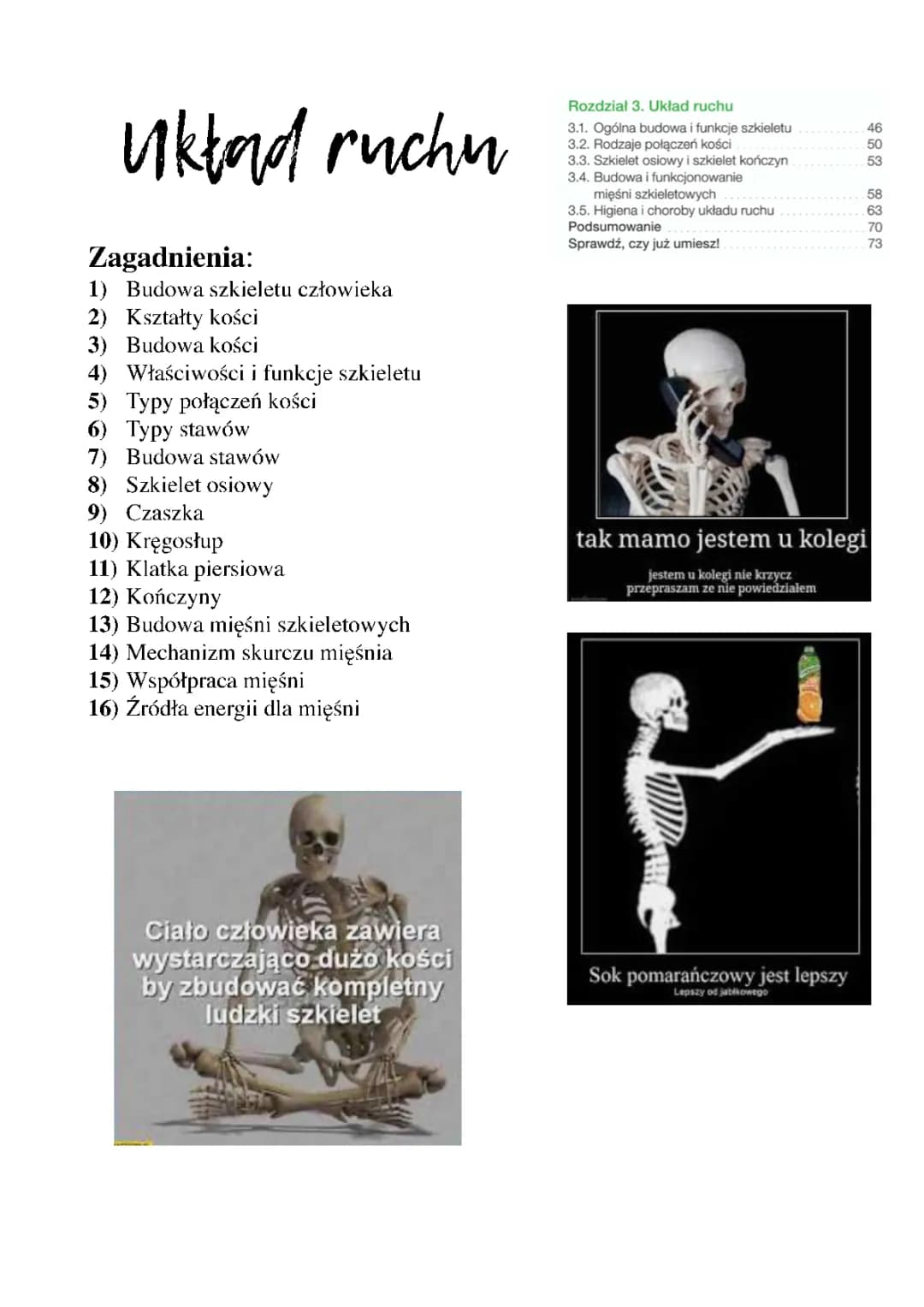 Układ Ruchu Człowieka: Testy, Notatki i Prezentacje