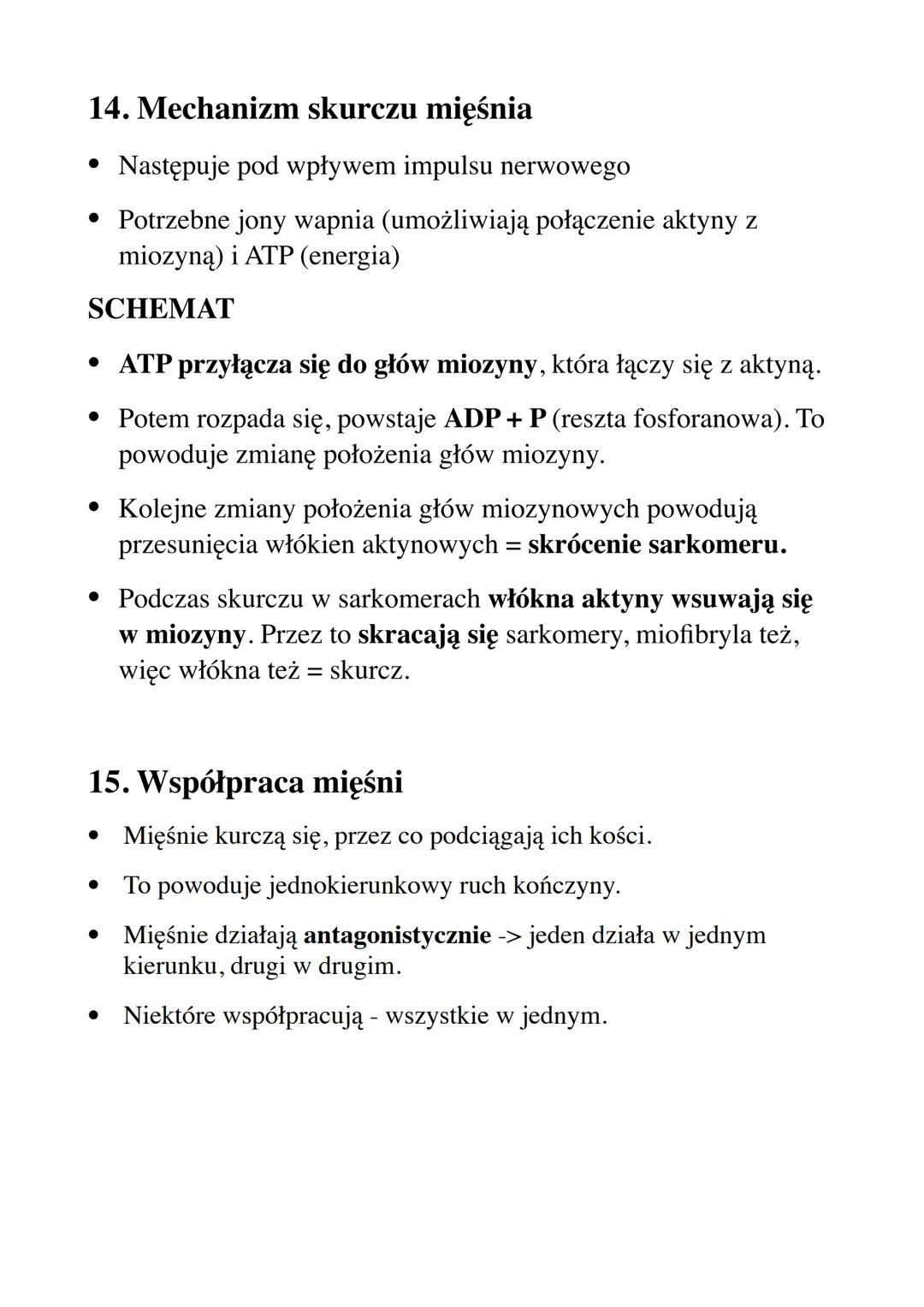 Układ ruchu
Zagadnienia:
1) Budowa szkieletu człowieka
2) Kształty kości
3) Budowa kości
4) Właściwości i funkcje szkieletu
5) Typy połączeń