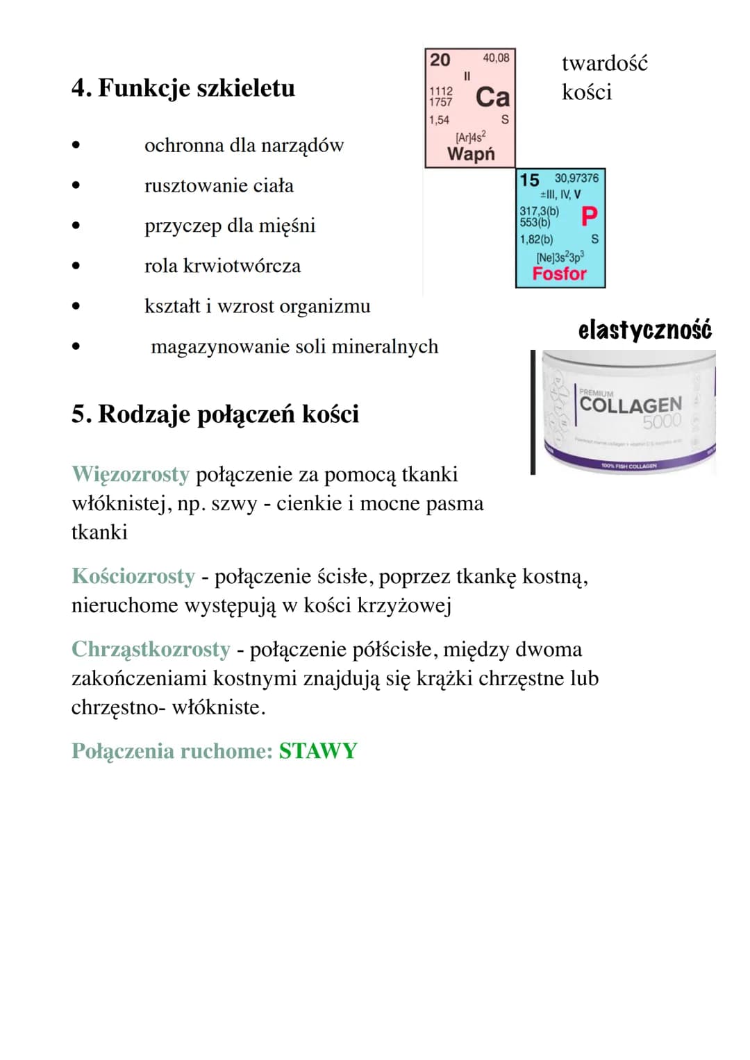 Układ ruchu
Zagadnienia:
1) Budowa szkieletu człowieka
2) Kształty kości
3) Budowa kości
4) Właściwości i funkcje szkieletu
5) Typy połączeń