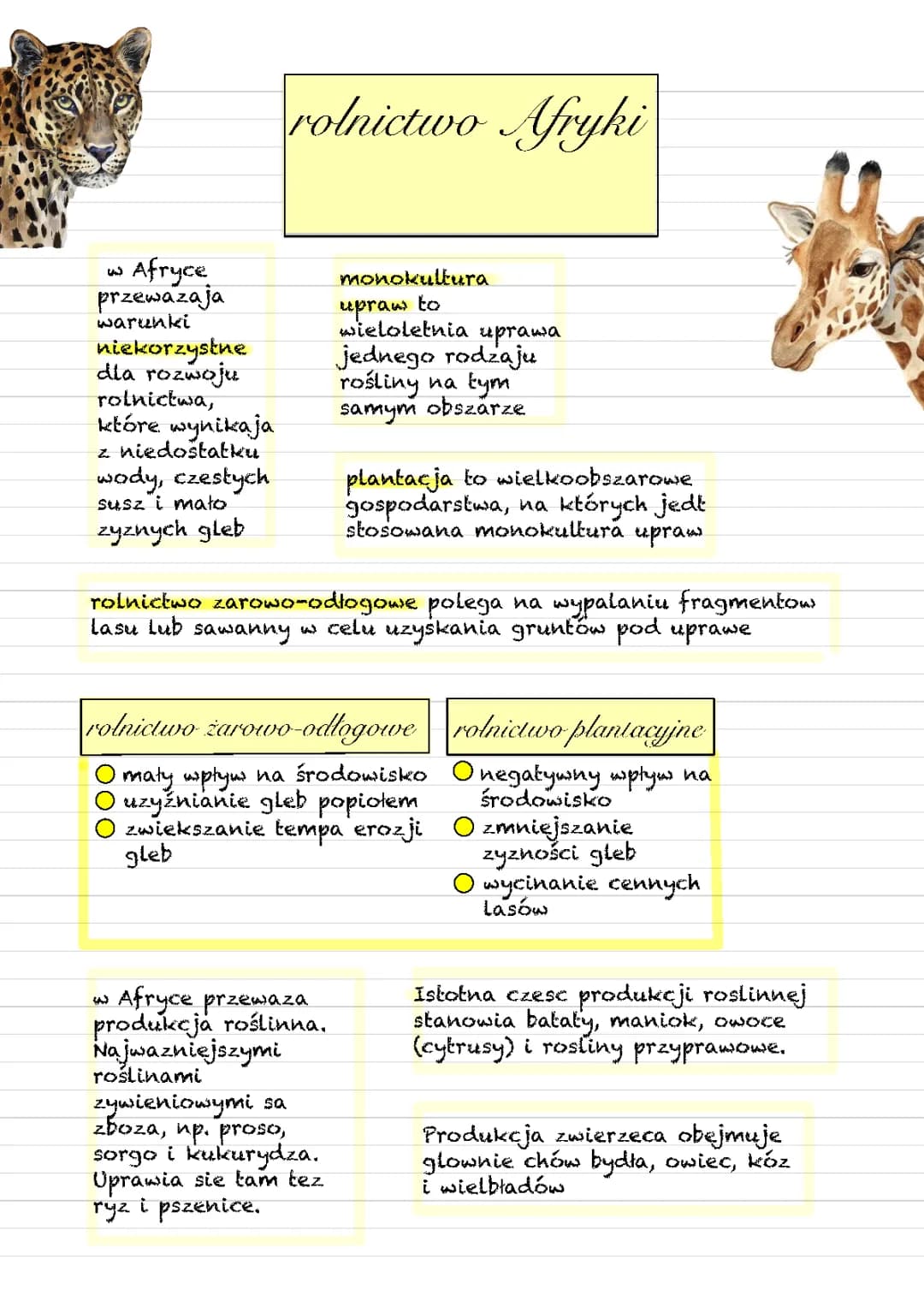 Typy Rolnictwa w Afryce – Klasa 8