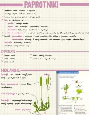 Know Paprotniki - zarodnikowe rośliny naczyniowe  thumbnail