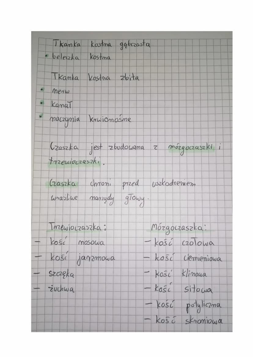 @
•
.
T
0
Aparat ruchu
.
Część czynna
Uklad mięśniowy:
mięśnie szkieletowe
układ szkieletowy :
szkielet osiowy / Szkielet kończym
A
czaszka
