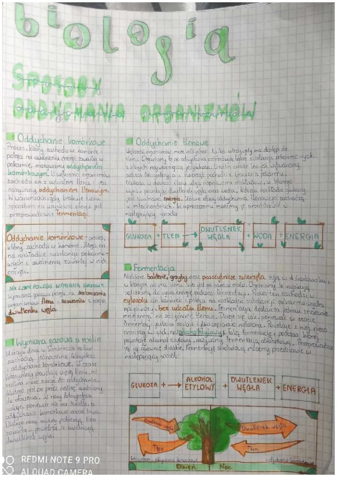 Jak działa proces oddychania komórkowego i rola mitochondriów