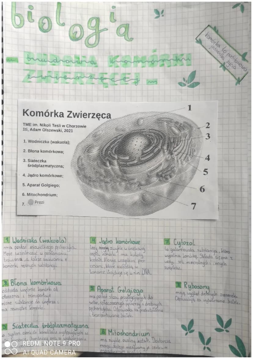 plologia
9P0108X
ODDYCHANG ORGAnizmal
Mala
Oddychanie komórkowe
Proces, klory zachodzi w komórce i
polega na uwolnieniu energii zawartej w
p