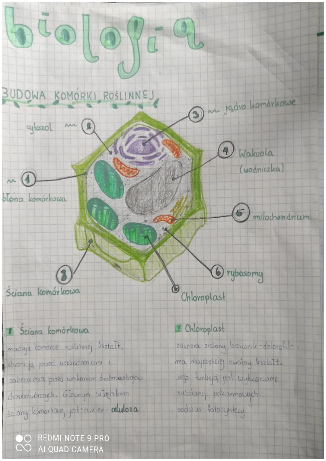 plologia
9P0108X
ODDYCHANG ORGAnizmal
Mala
Oddychanie komórkowe
Proces, klory zachodzi w komórce i
polega na uwolnieniu energii zawartej w
p
