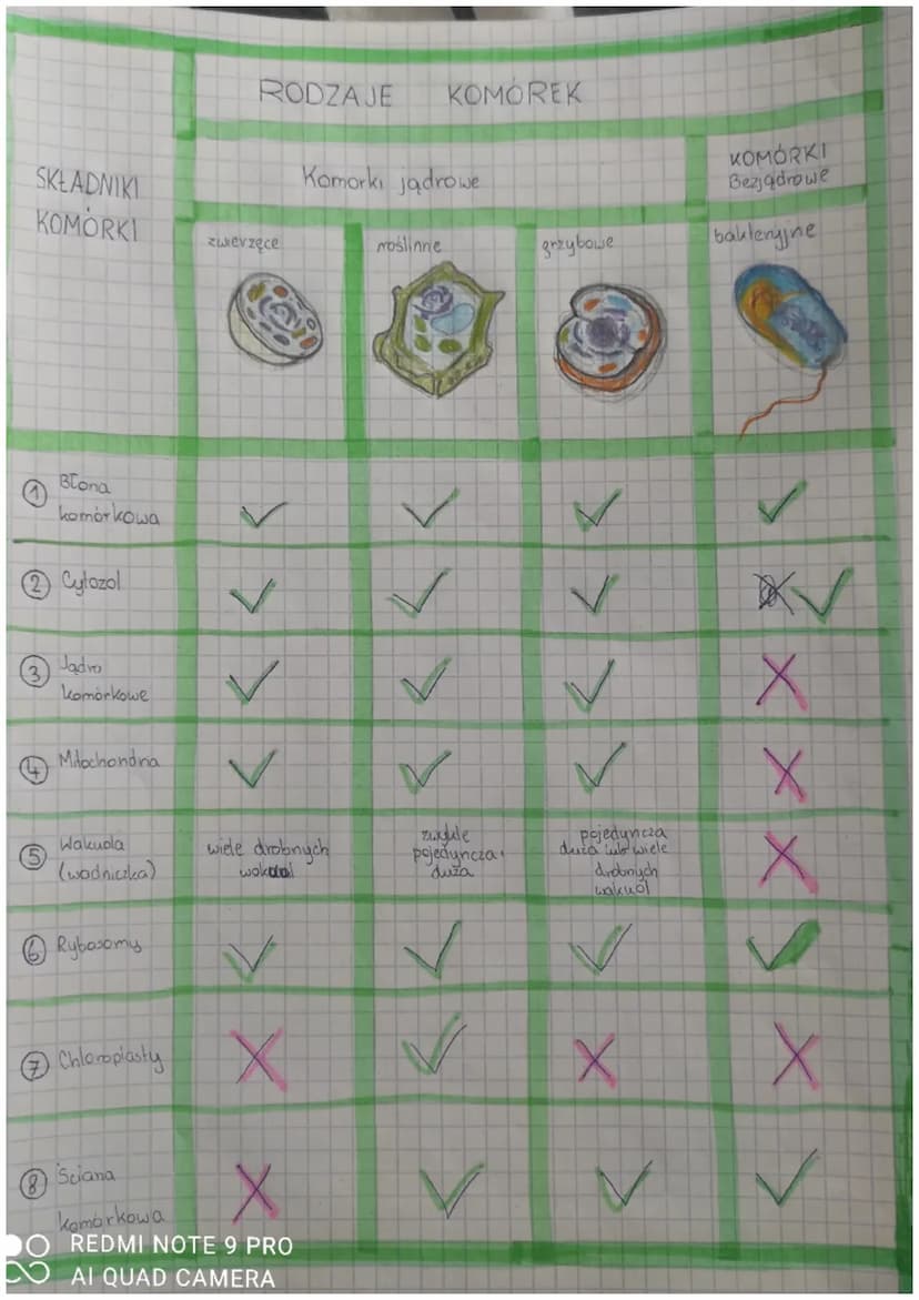 plologia
9P0108X
ODDYCHANG ORGAnizmal
Mala
Oddychanie komórkowe
Proces, klory zachodzi w komórce i
polega na uwolnieniu energii zawartej w
p