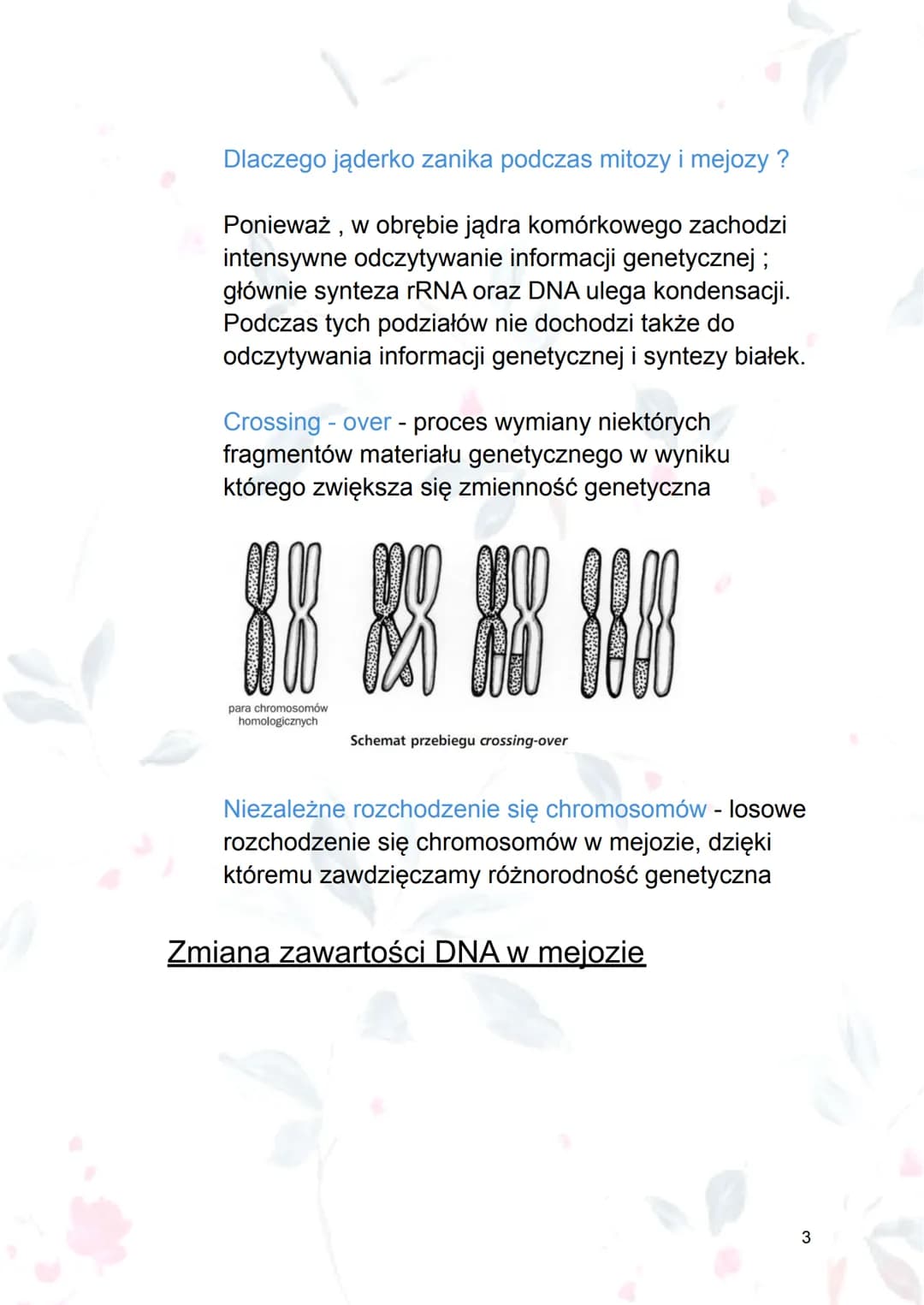 
<p><strong>Mejoza</strong> jest procesem podziału jądra komórkowego, który prowadzi do powstania czterech komórek o zredukowanej o połowę l