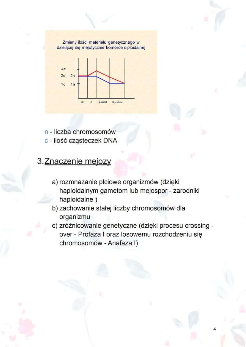 
<p><strong>Mejoza</strong> jest procesem podziału jądra komórkowego, który prowadzi do powstania czterech komórek o zredukowanej o połowę l