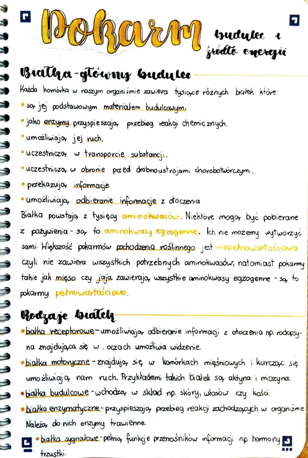 Pokarm - budulec i źródło energii.