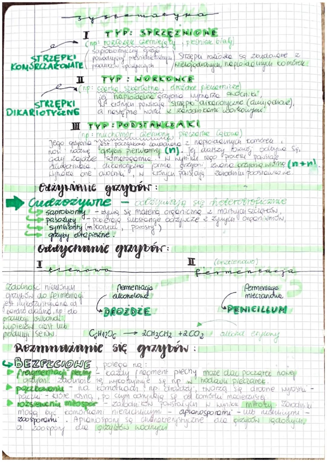 Czym są grzyby?
mitochondre, jou boom.
heleronol.comie (posobyły one is morene opericang
to oponiamy eukariobyczne. Odzywają się wyłęcanie
a
