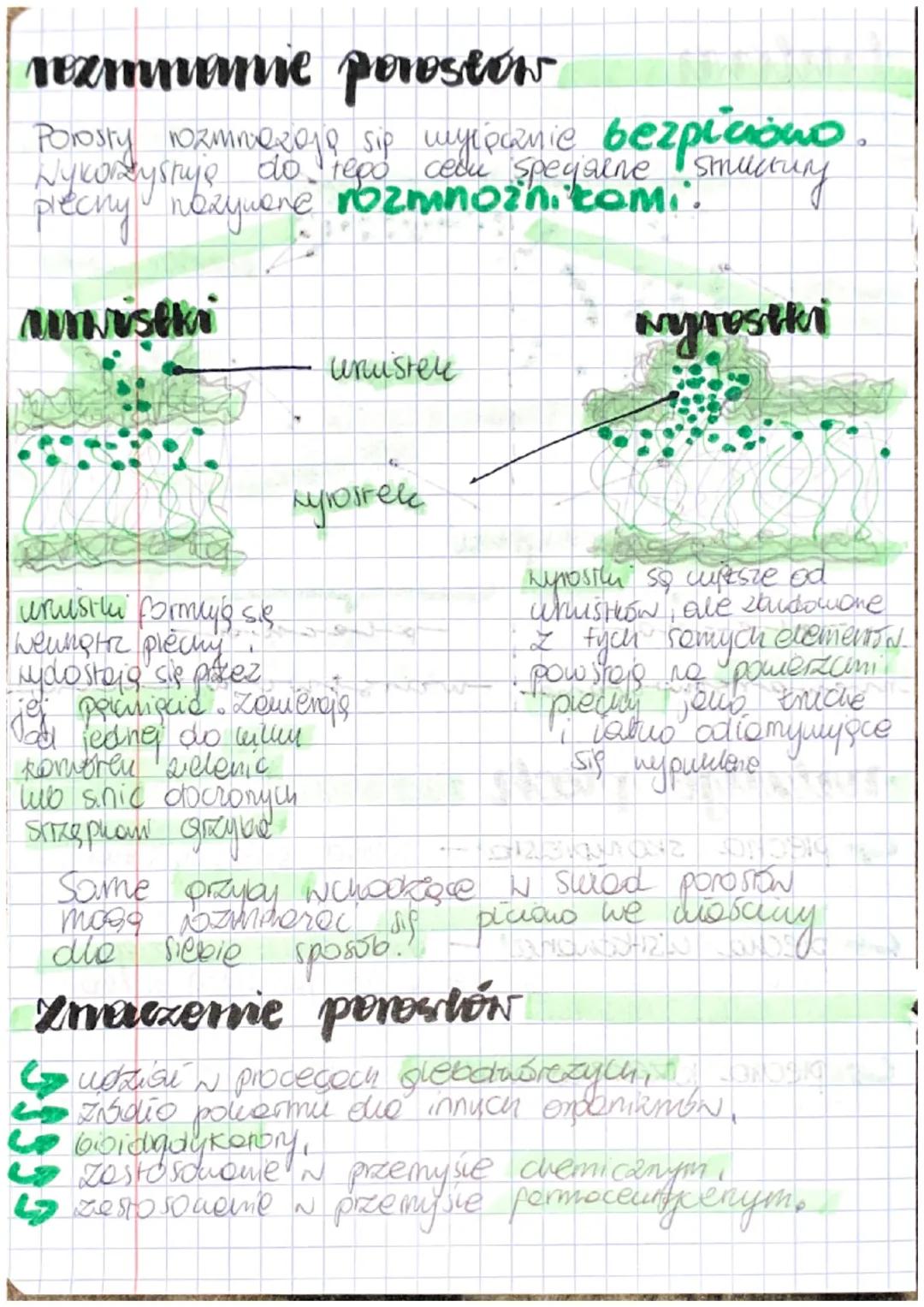 Czym są grzyby?
mitochondre, jou boom.
heleronol.comie (posobyły one is morene opericang
to oponiamy eukariobyczne. Odzywają się wyłęcanie
a