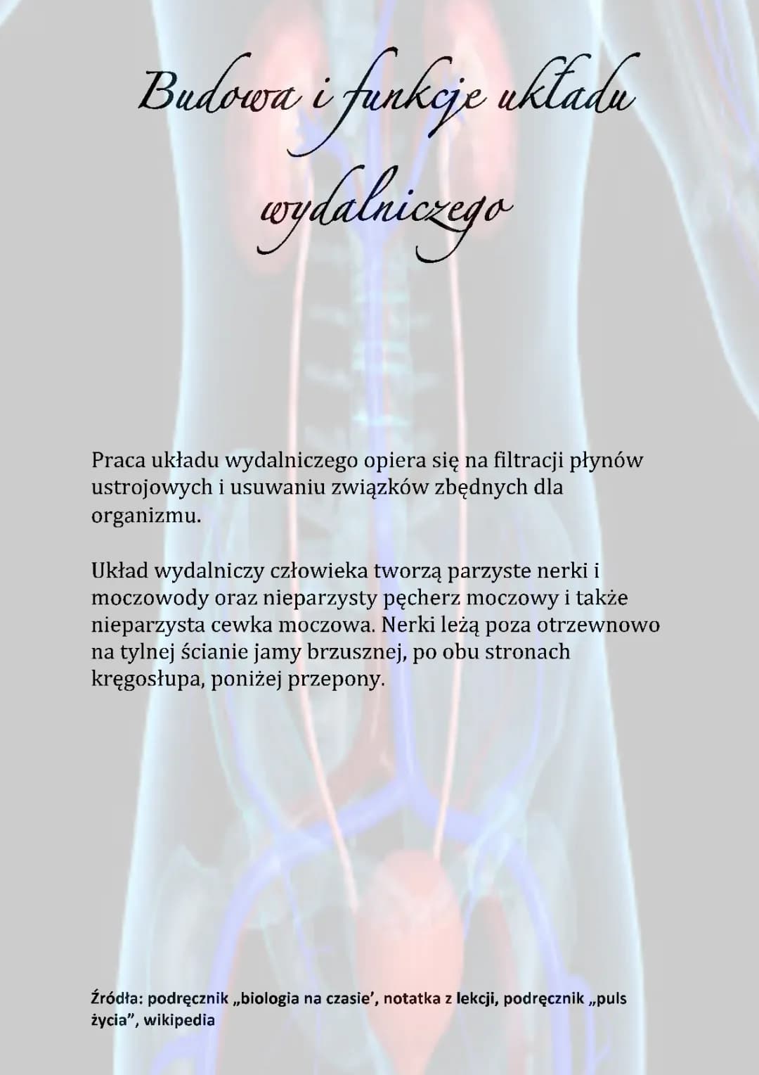 Układ wydalniczy 