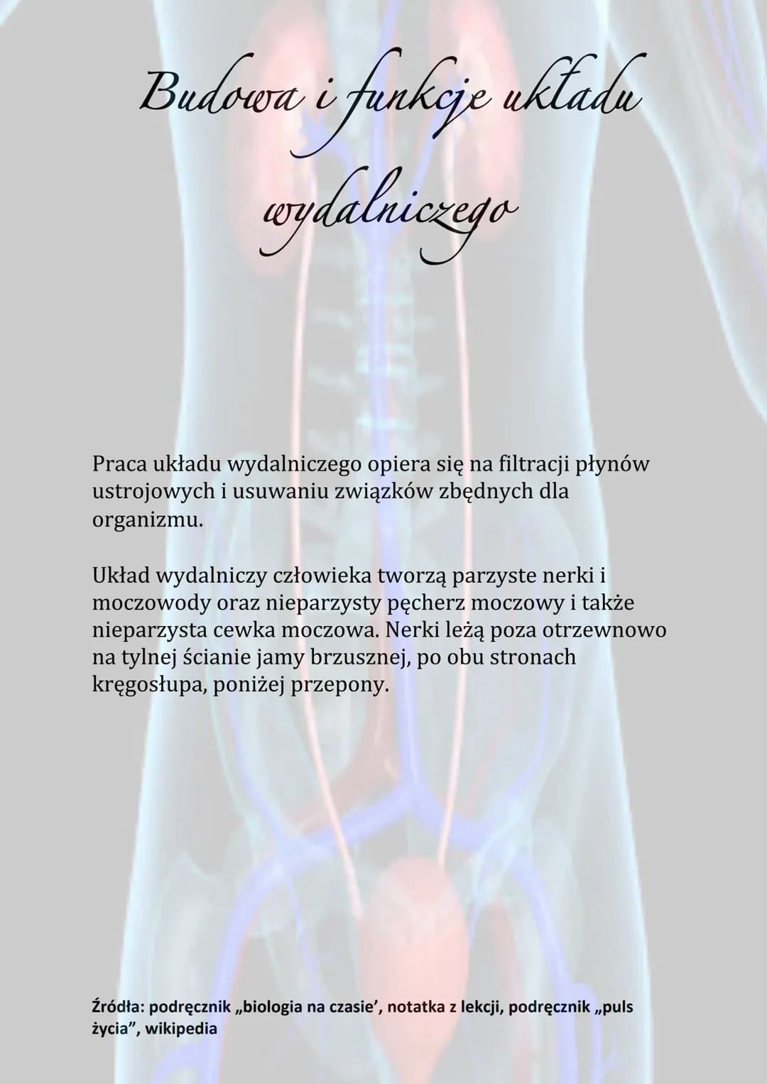 Budowa i funkcje układu
wydalniczego
Praca układu wydalniczego opiera się na filtracji płynów
ustrojowych i usuwaniu związków zbędnych dla
o