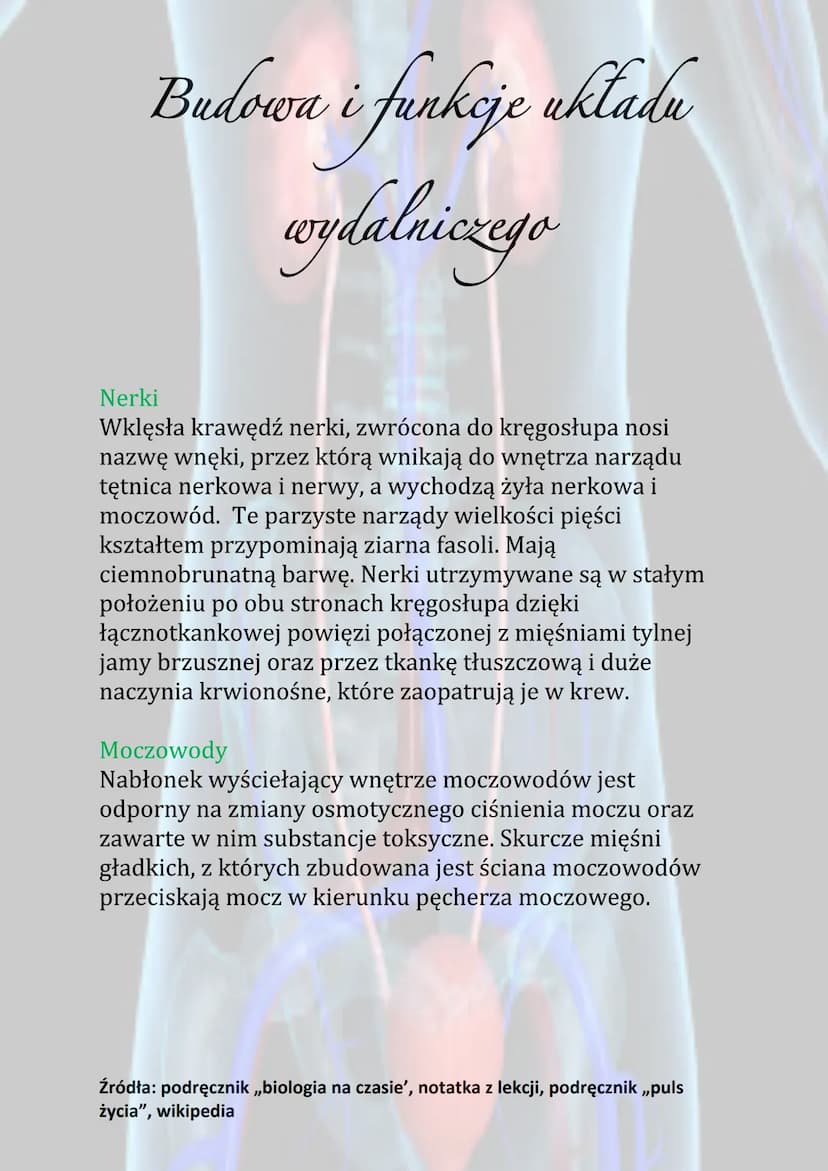 Budowa i funkcje układu
wydalniczego
Praca układu wydalniczego opiera się na filtracji płynów
ustrojowych i usuwaniu związków zbędnych dla
o