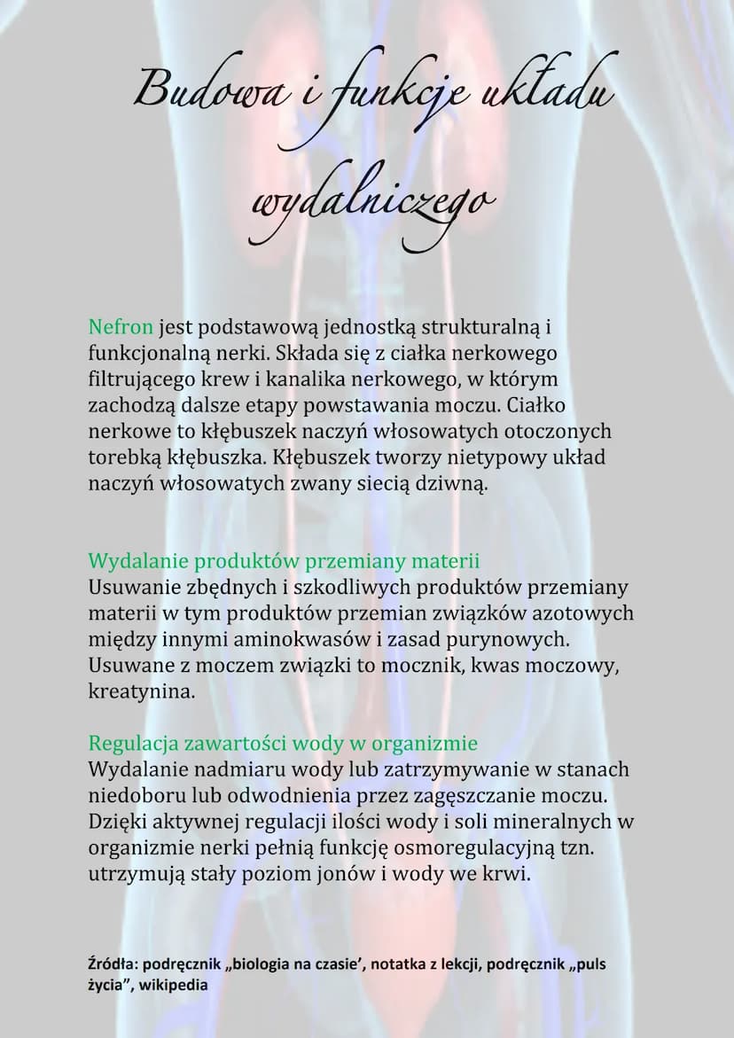 Budowa i funkcje układu
wydalniczego
Praca układu wydalniczego opiera się na filtracji płynów
ustrojowych i usuwaniu związków zbędnych dla
o