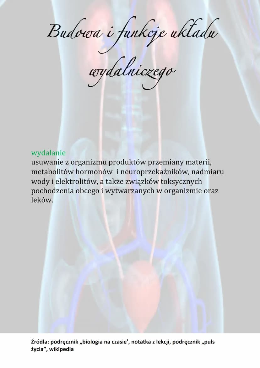 Budowa i funkcje układu
wydalniczego
Praca układu wydalniczego opiera się na filtracji płynów
ustrojowych i usuwaniu związków zbędnych dla
o