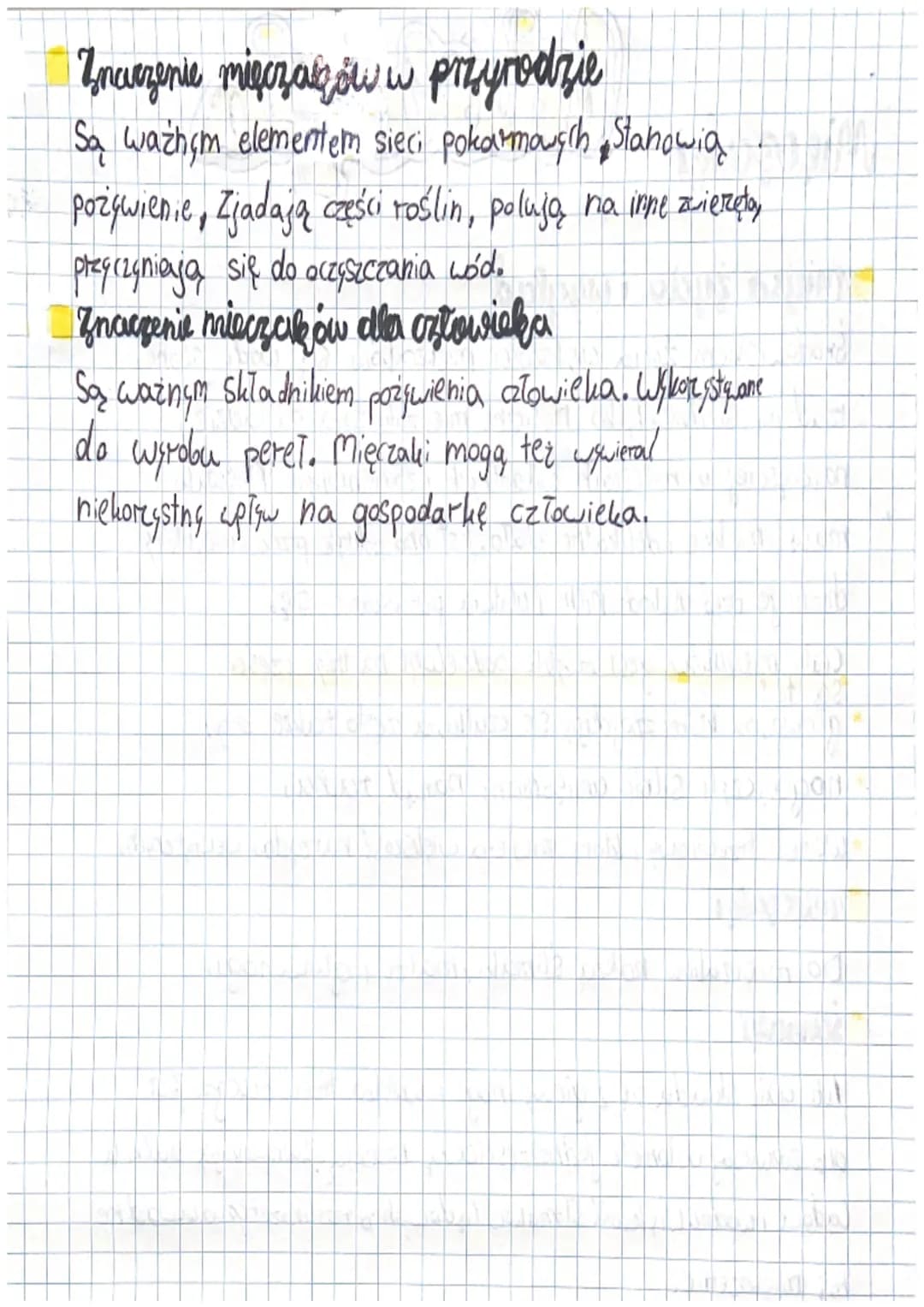Najpopularniejsze mięczaki - Klasa 6: Przykłady, Budowa i Test