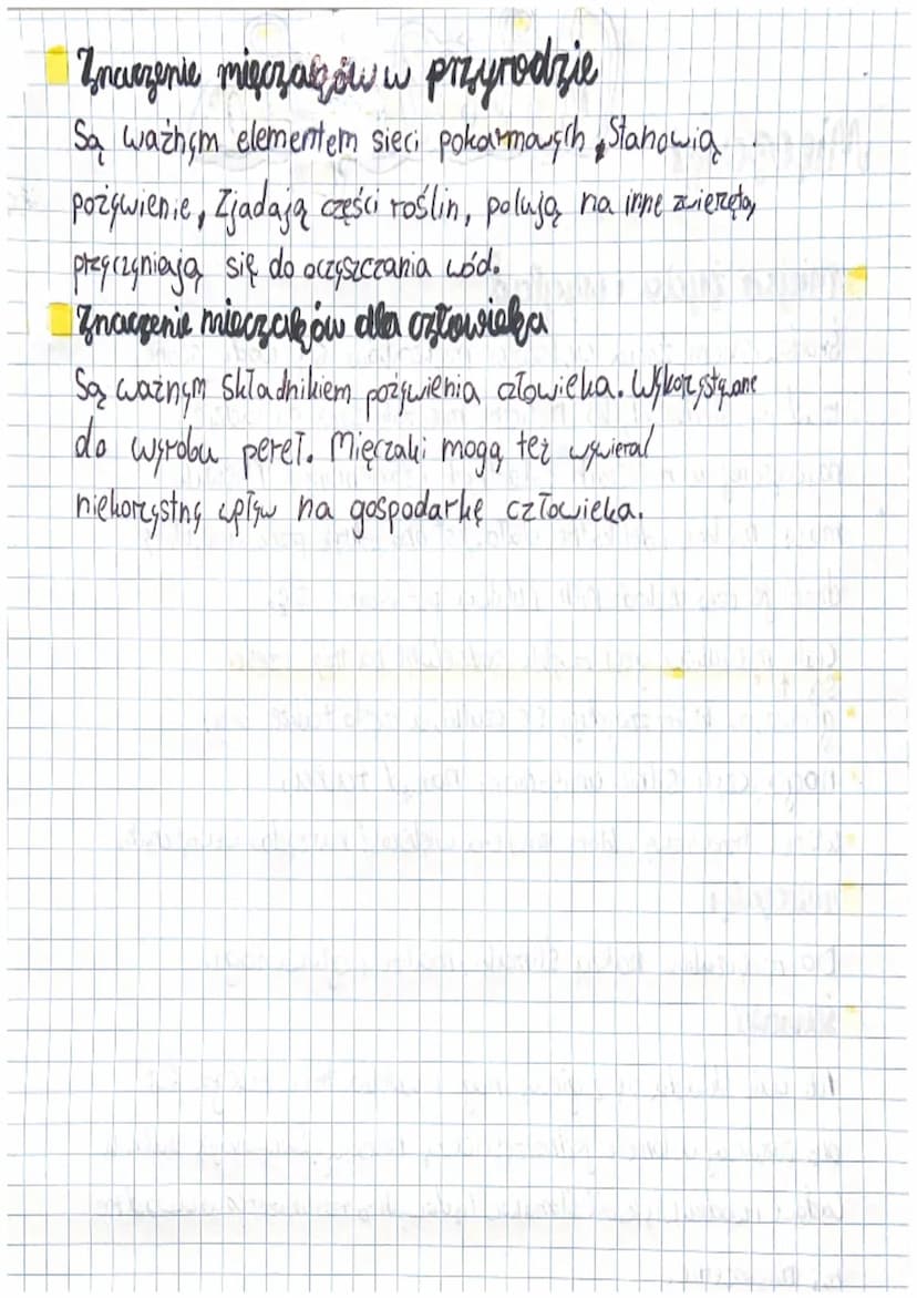 Phottaria
Mięczaki
miejso życia i wygląd
Środowiskiem życia większości miętzaków są wody słone,
zadziej słodkie. Tylko nieliczne mięczaki ży