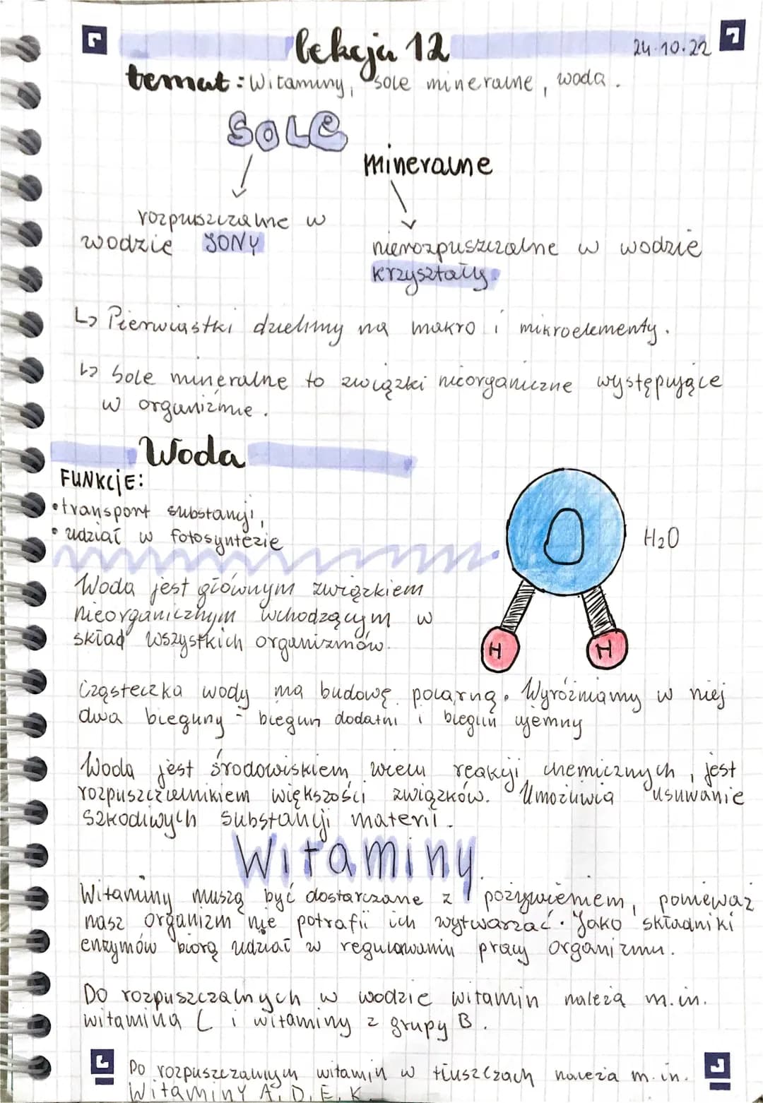 Witaminy, sole mineralne i woda.