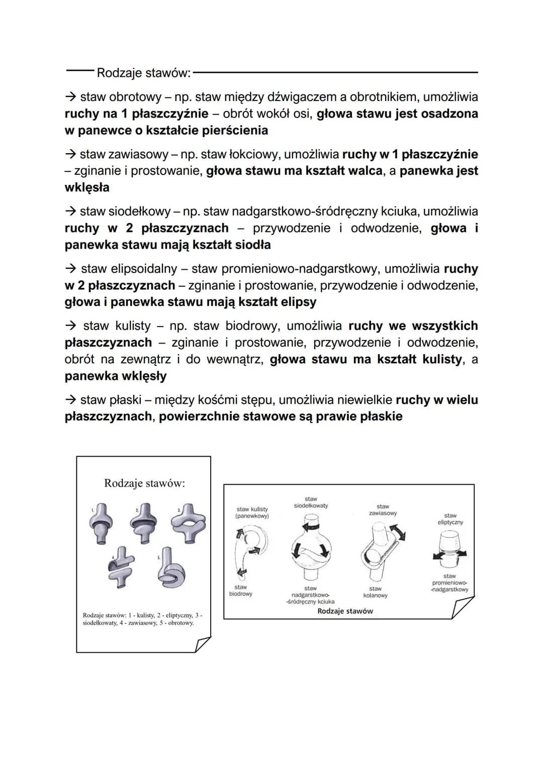 Rodzaje połączeń kości
Połączenia kości:-
- kości łączą się ze sobą za pomocą połączeń ścisłych lub ruchomych
→ połączenia ścisłe kości mają