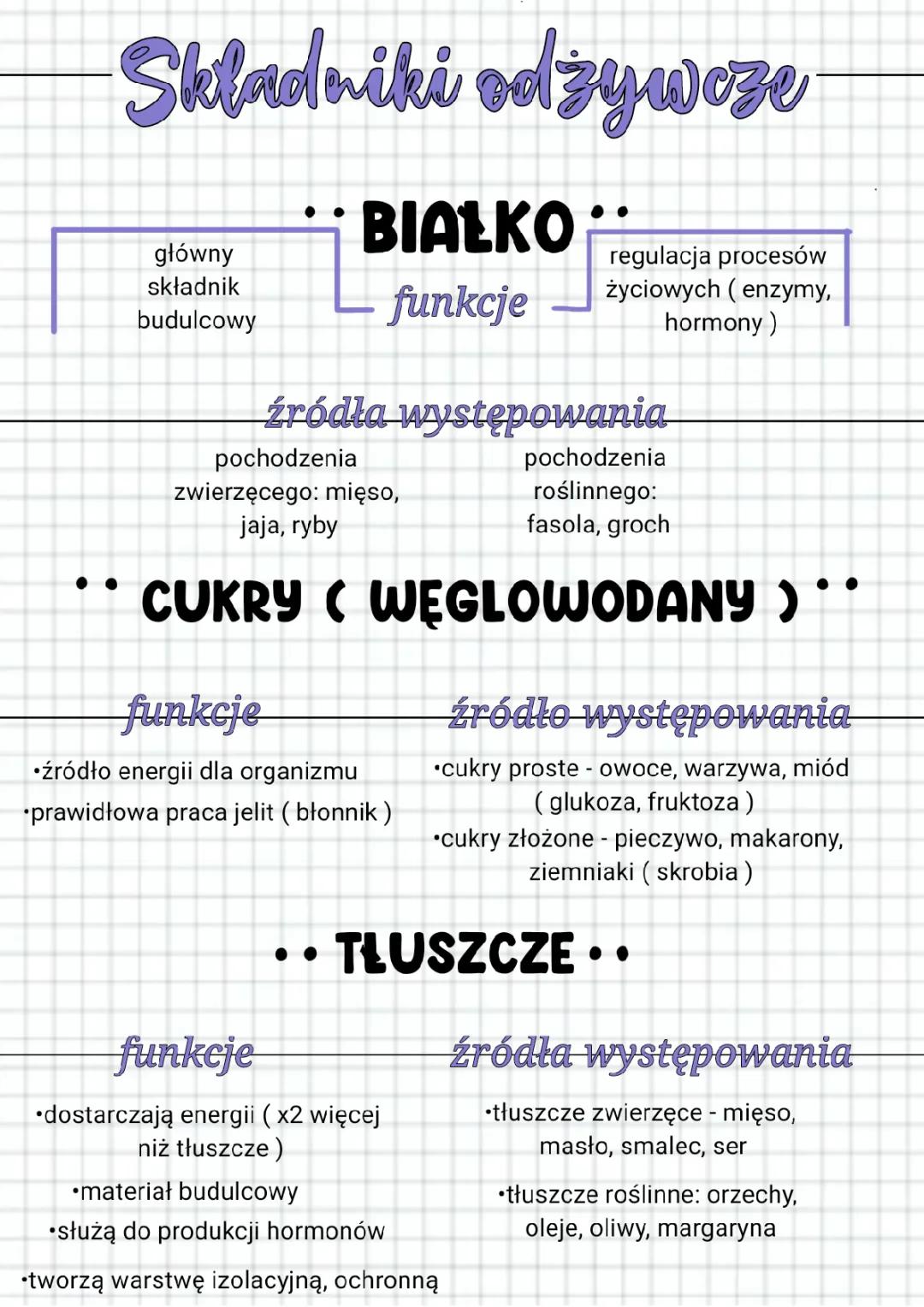 Składniki Odżywcze dla Klasy 7 – Kluczowe Informacje