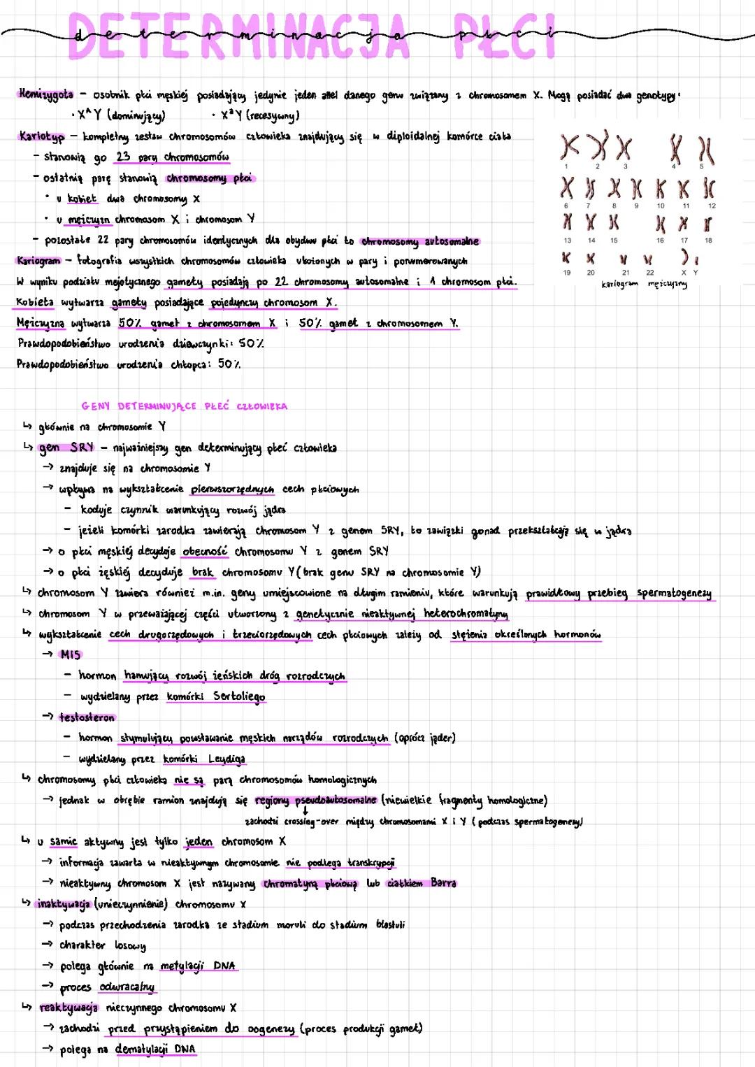 Jak określić płeć w biologii?