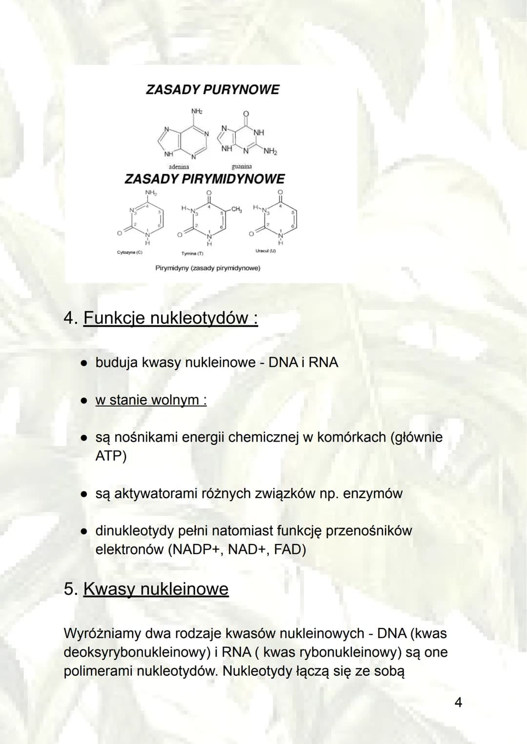 Kwasy nukleinowe
1. Budowa kwasów nukleinowych
W skład kwasów nukleinowych wchodzi węgiel, wodór,
tlen, azot oraz fosfor. Które, wspólnie bu