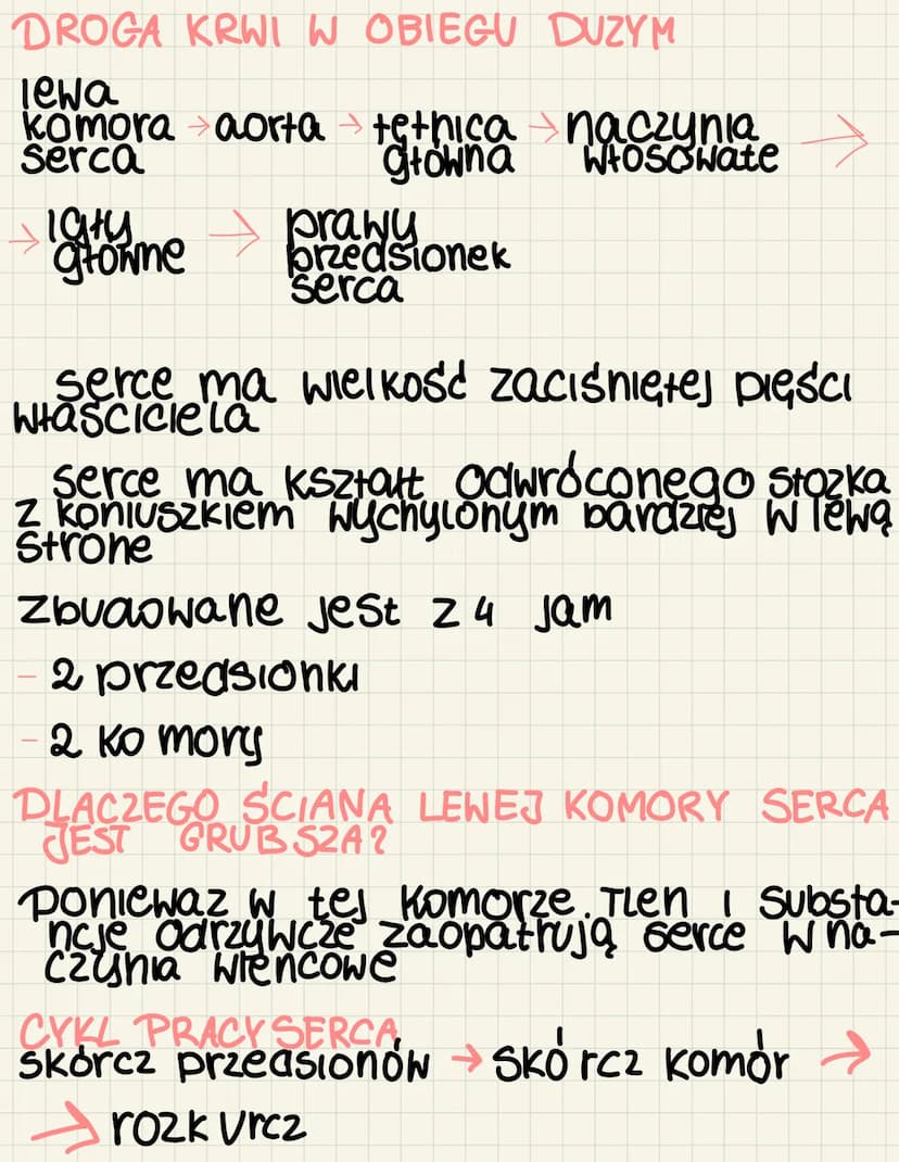 SKŁAD KRWI
Osocze piementy marfatyczne
erytrocytu, Levkočuty, prytki krwi
NACZYNIA KRWIONOŚNE
zyły tętnice
KRWIOBIEGI
mały
(płucny)
Wymiana
