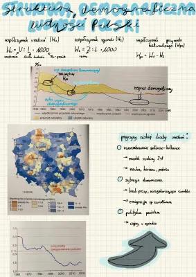 Know Struktura demograficzna ludności Polski  thumbnail