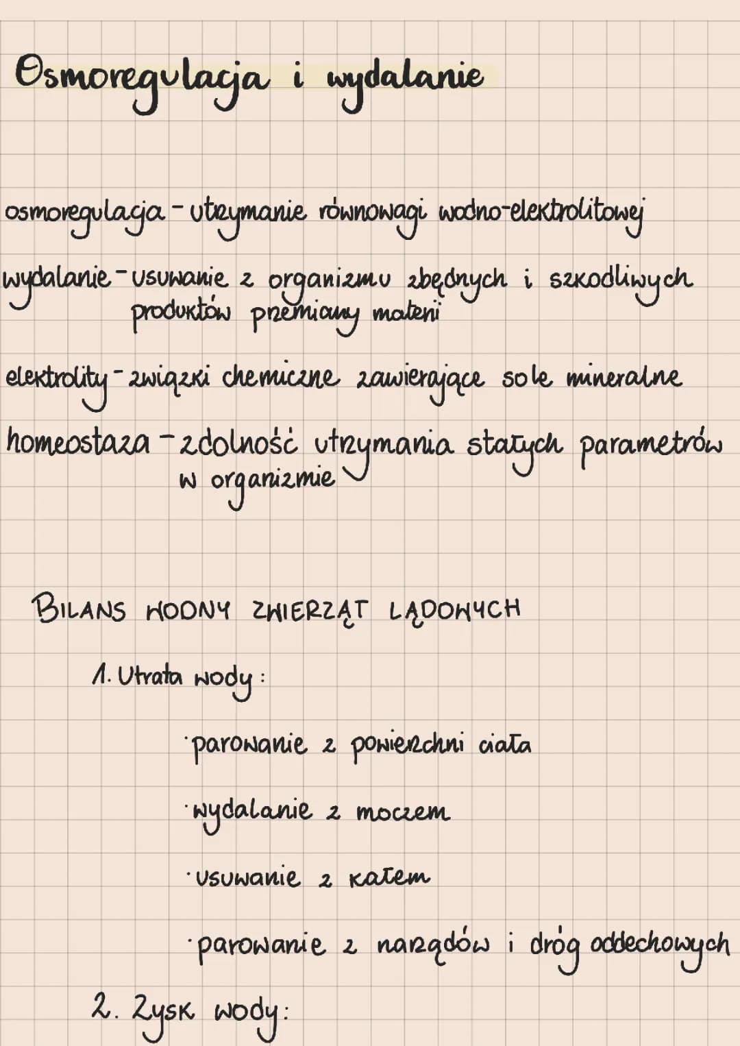Układ moczowy