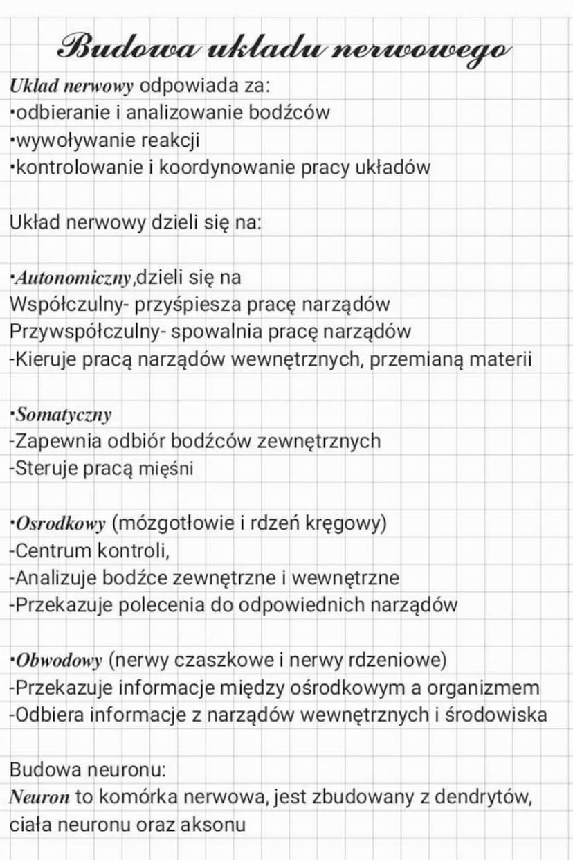 Budowa ukladu nerwowego
Uklad nerwowy odpowiada za:
odbieranie i analizowanie bodźców
wywoływanie reakcji
kontrolowanie i koordynowanie prac